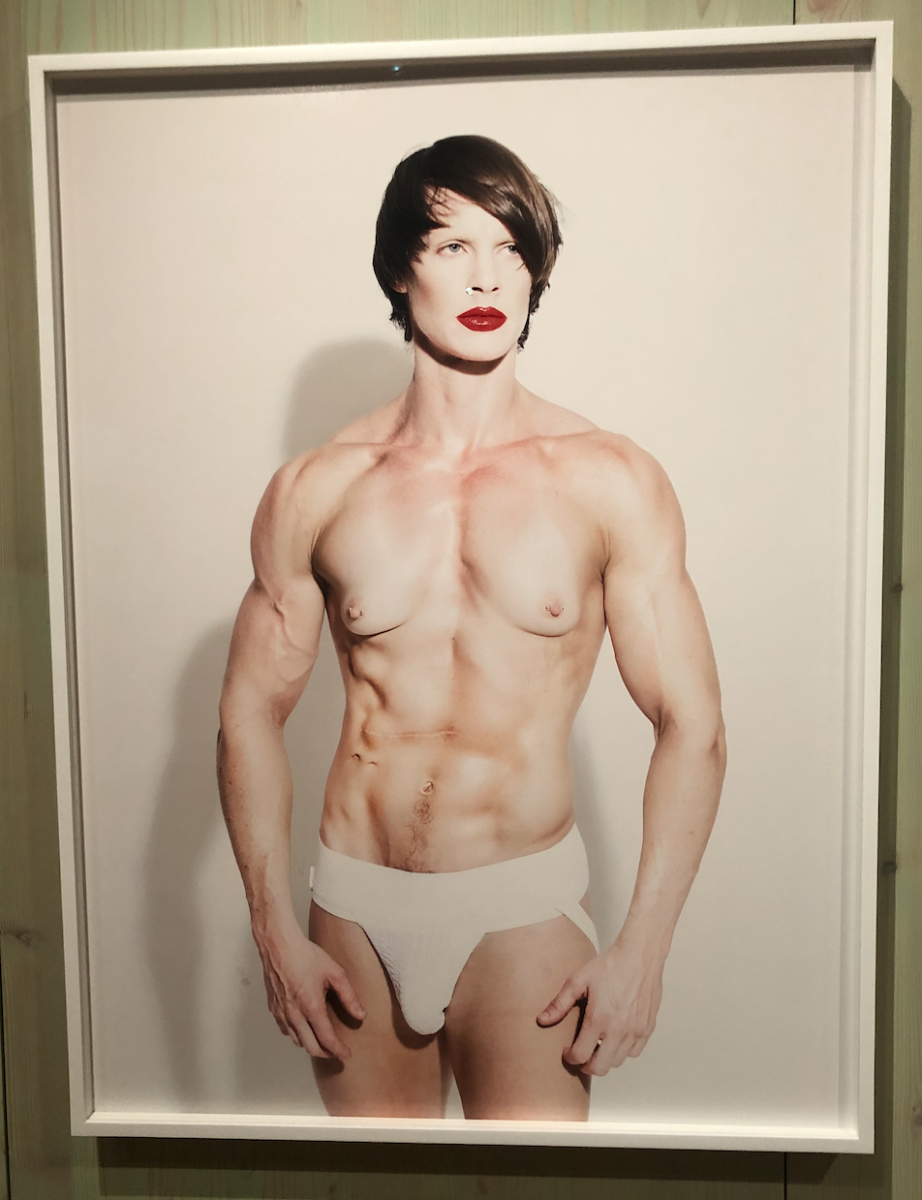 Screenshot 2019-11-04 at 20.13.32.png.1