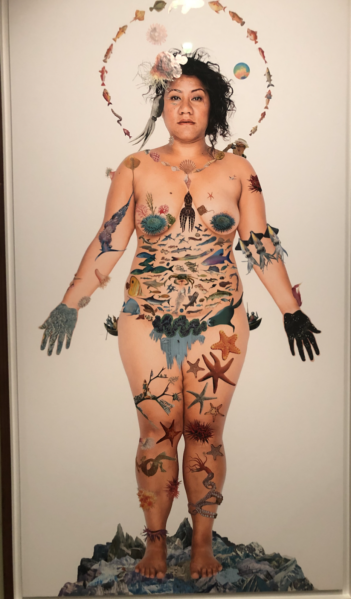 Screenshot 2019-11-04 at 20.13.44.png