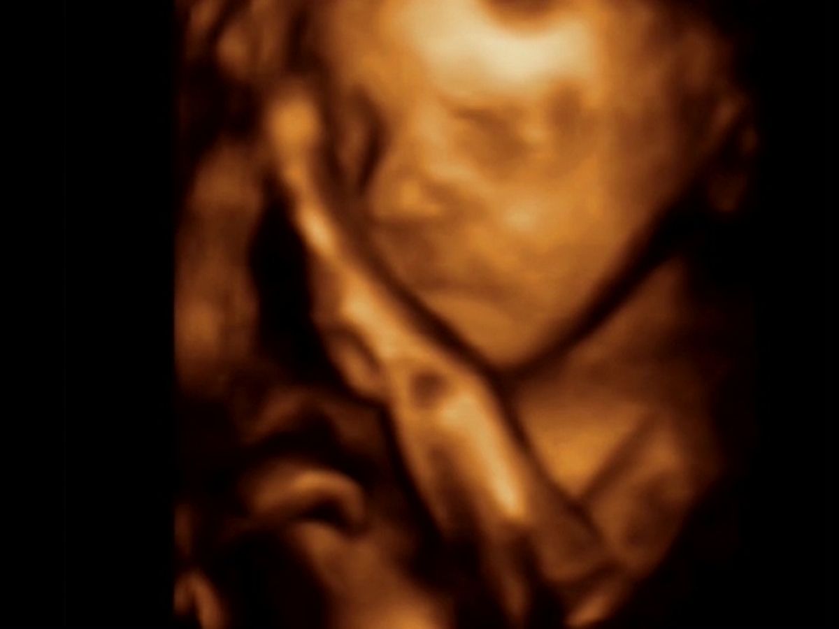 babies-can-detect-a-mothers-touch-from-inside-the-womb-as-video-shows-foetus-reaching-out-to-mum.jpg