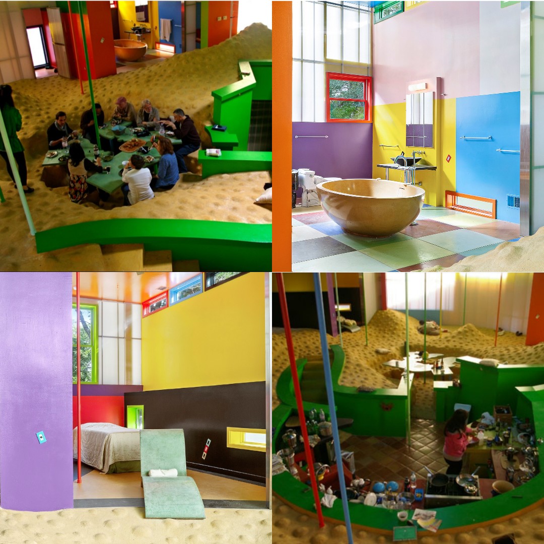 Collage 2019-11-09 17_07_42.jpg