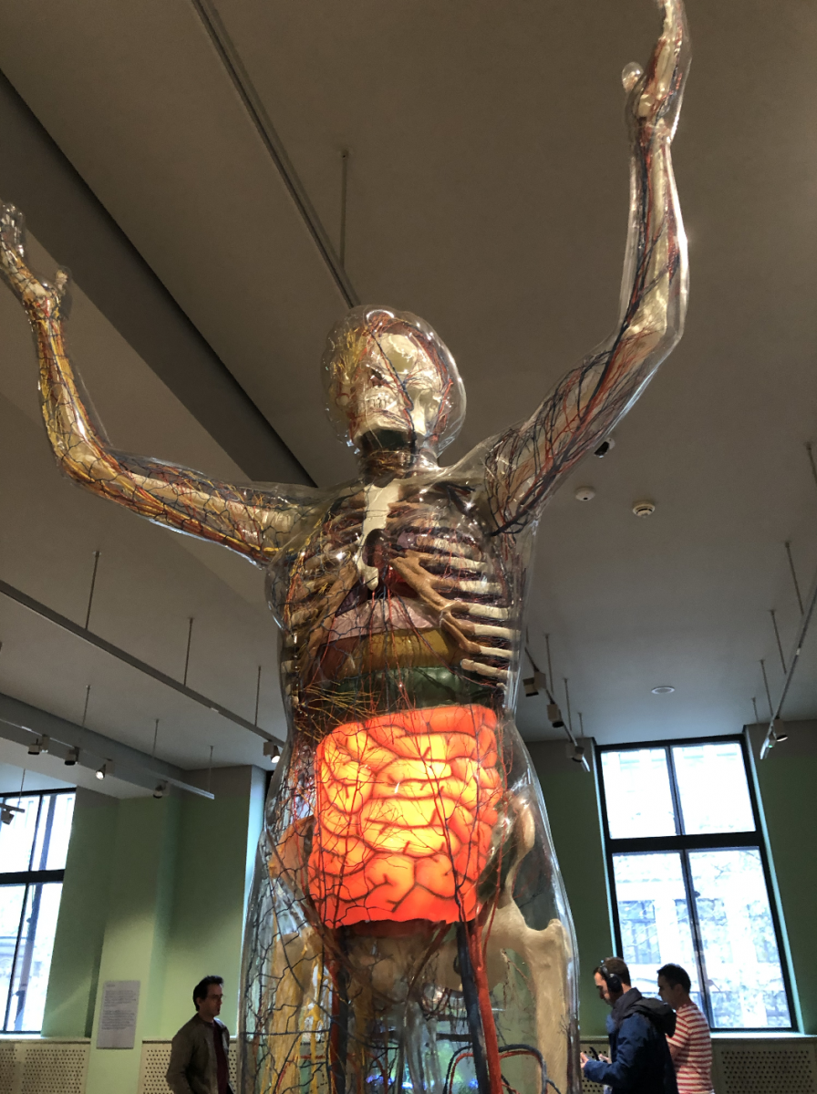 Screenshot 2019-11-09 at 22.16.23.png.2