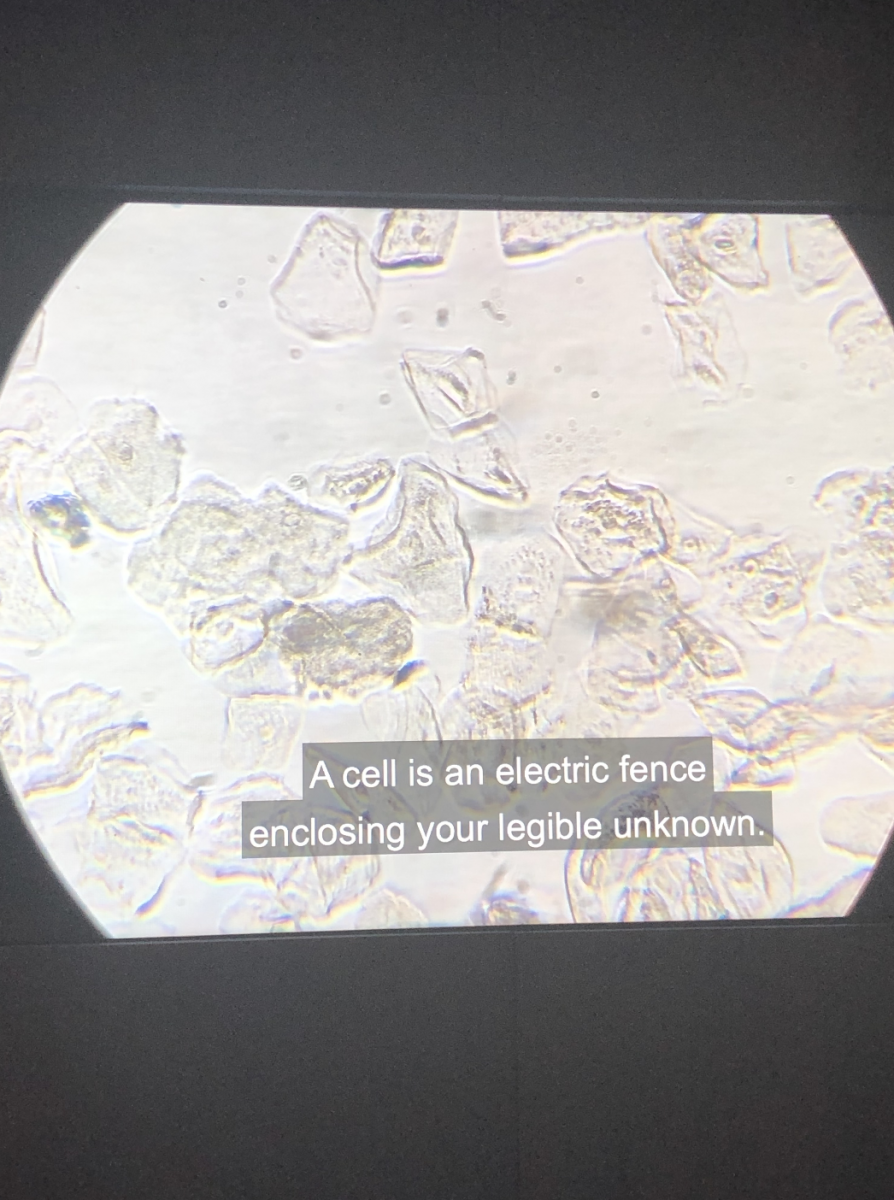 Screenshot 2019-11-09 at 22.18.38.png