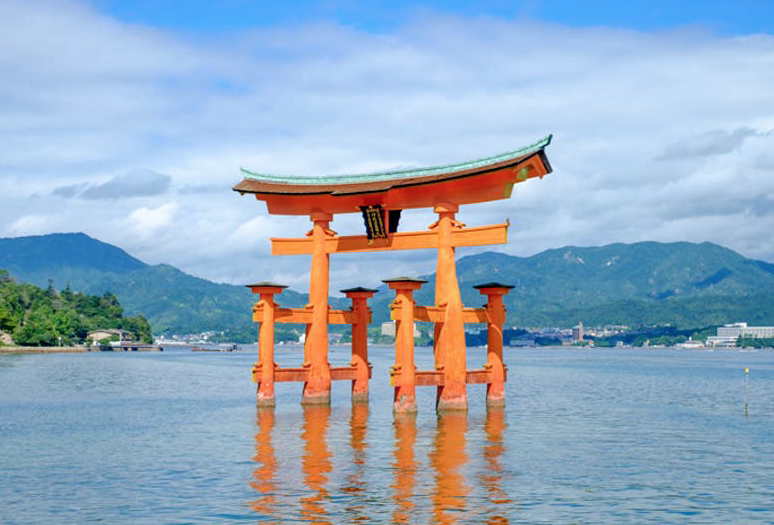 Screen Shot 2019-11-13 at 3.30.47 PM.png