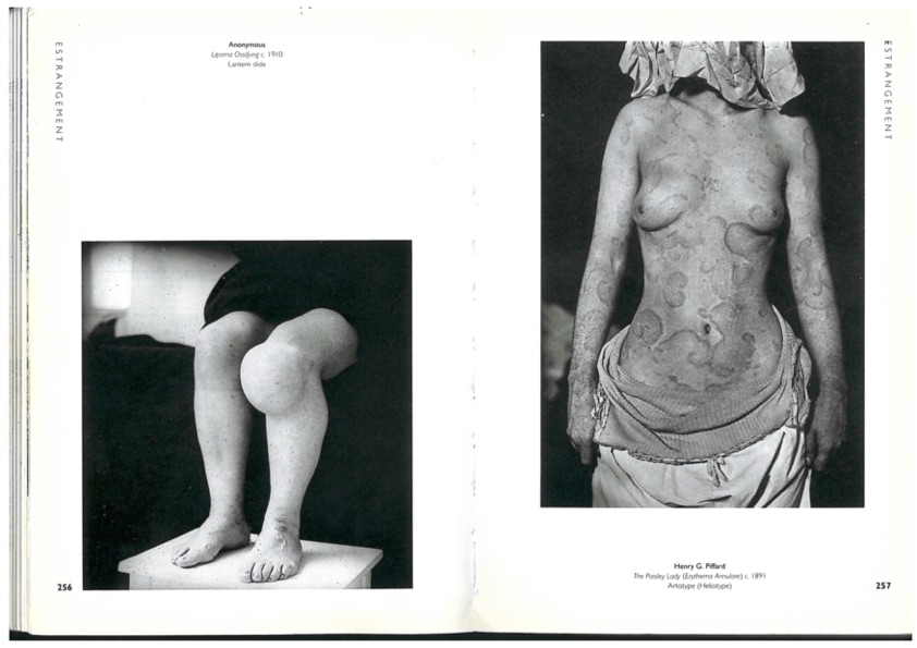 the body 1.jpg