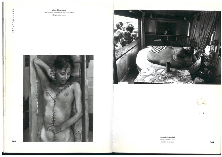 the body 2.jpg