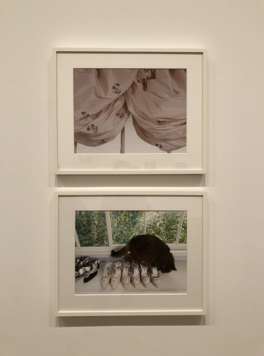 Screenshot 2019-11-16 at 22.20.00.png