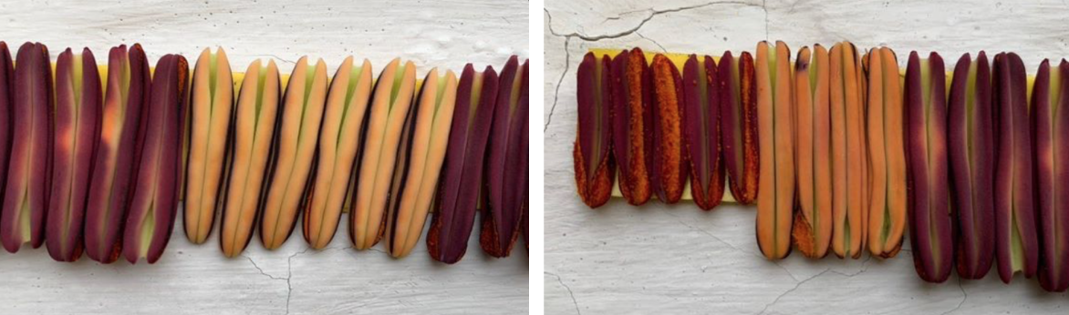 Screen Shot 2019-11-22 at 21.24.56.png