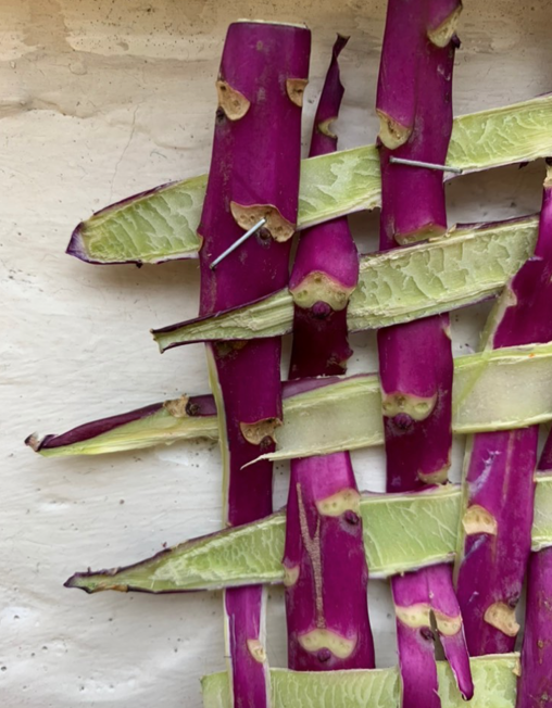 Screen Shot 2019-11-22 at 21.28.04.png