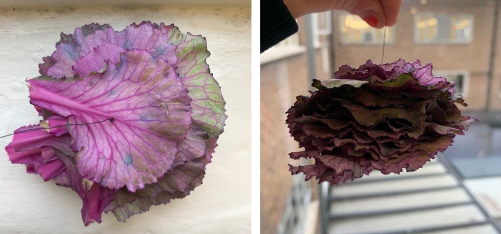 Screen Shot 2019-11-22 at 21.28.44.png