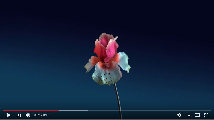 flume33.JPG