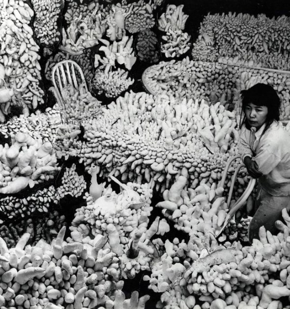 Screen Shot 2019-11-28 at 16.06.39.png