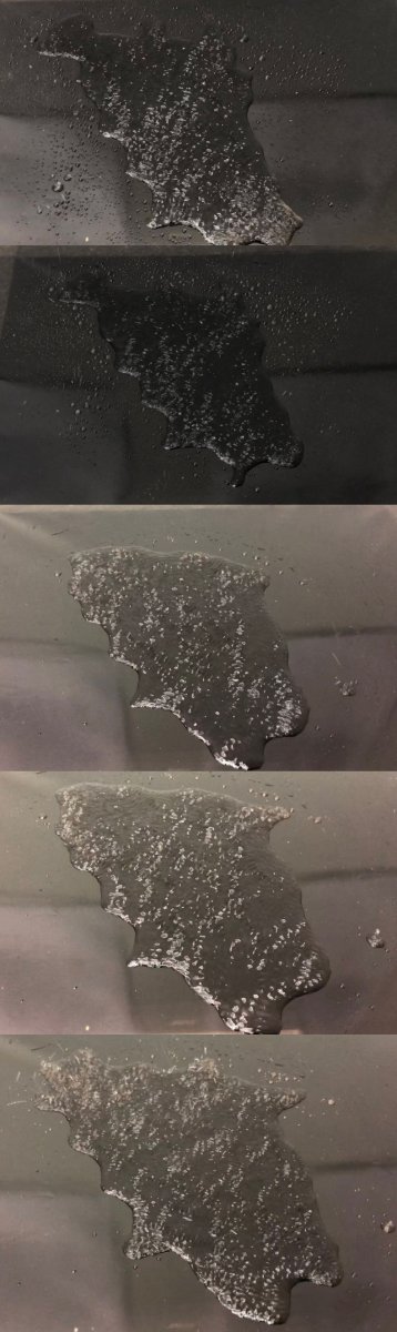 微信IMG119.jpeg