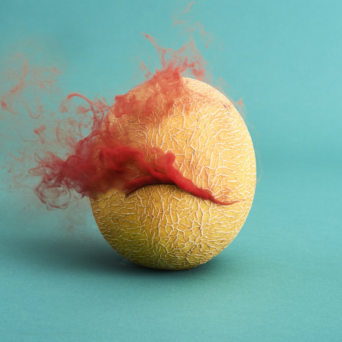 00-galia-melon_1527.jpg