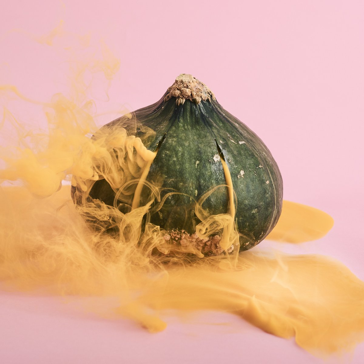 02-kabocha-squash_1527.jpg