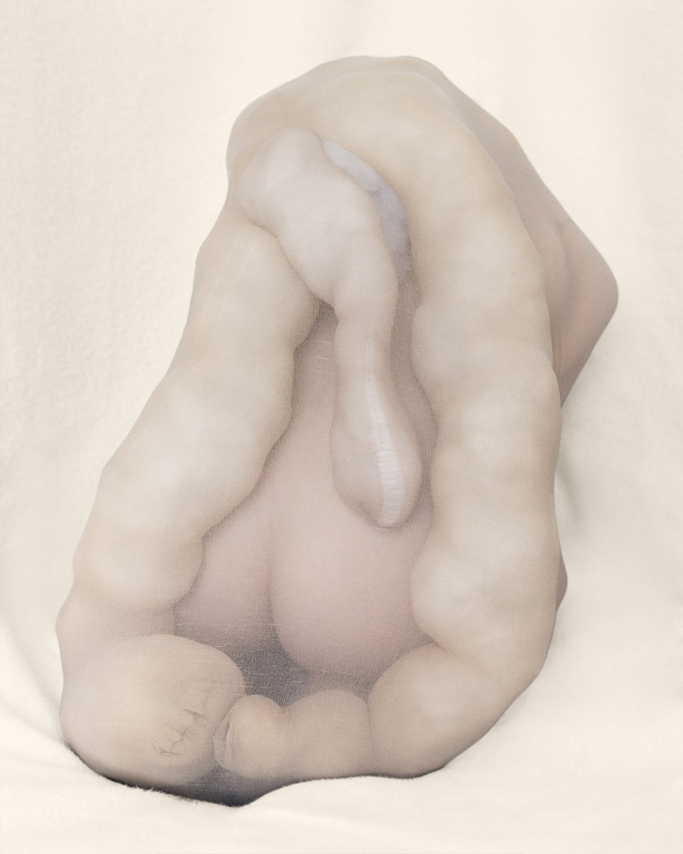 PollyBorland_Morph-32-2018.jpg