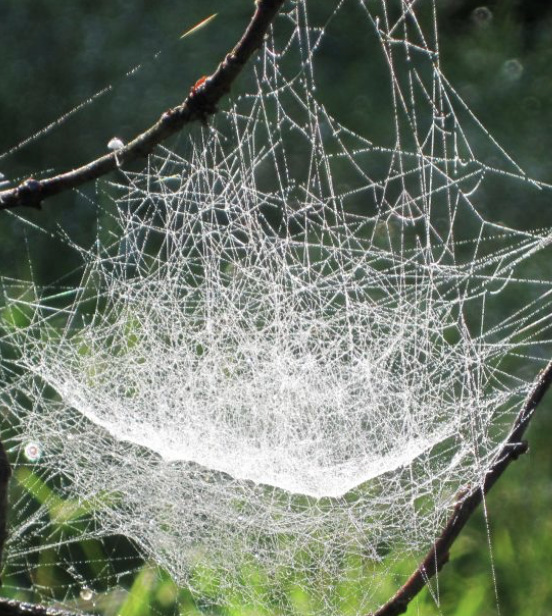 Screenshot 2020-01-06 at 16.24.48.png