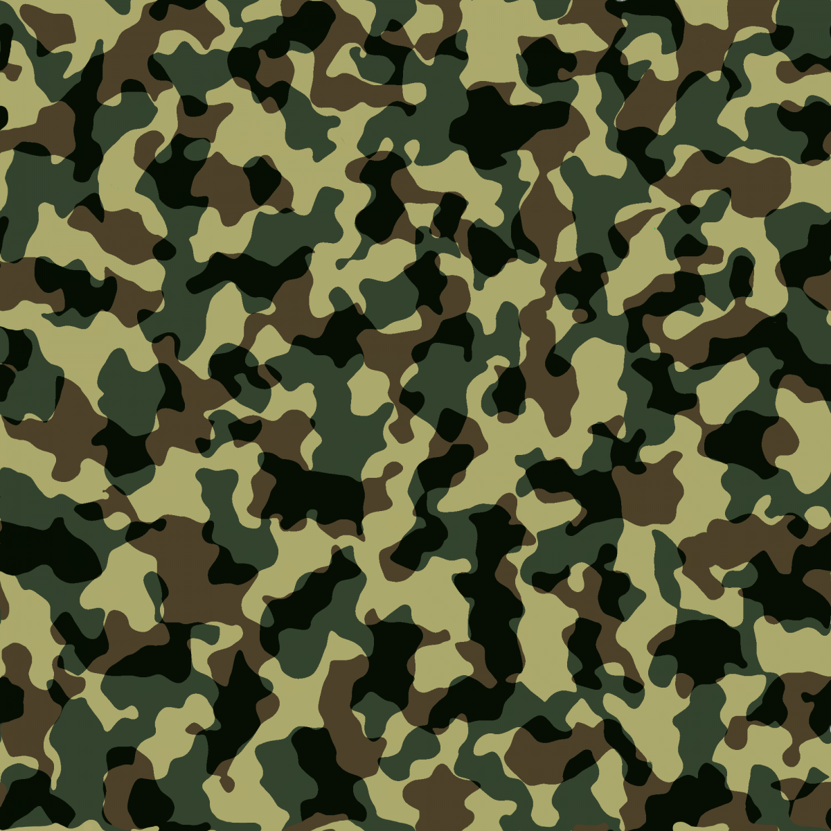 Camouflage_pattern_texture.png