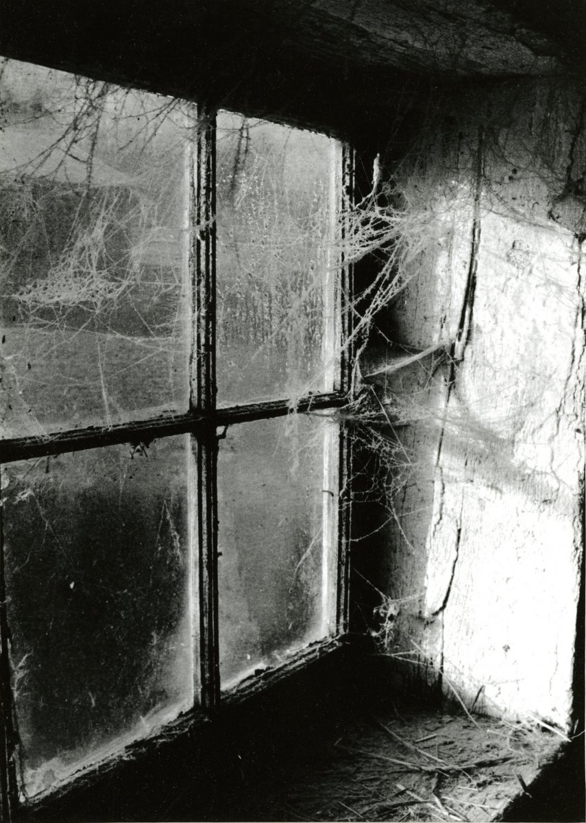 spider-web-on-window.jpg