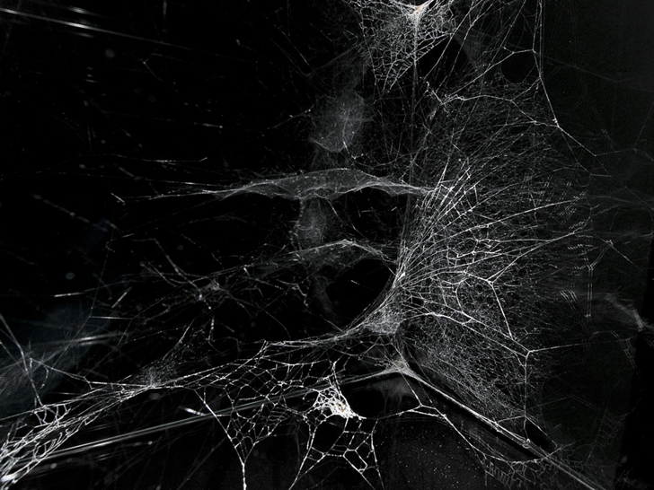 Tomas-Saraceno-Spider-Web-Art-6.jpg
