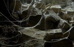 drapping-spooky-webs-300x190.jpg