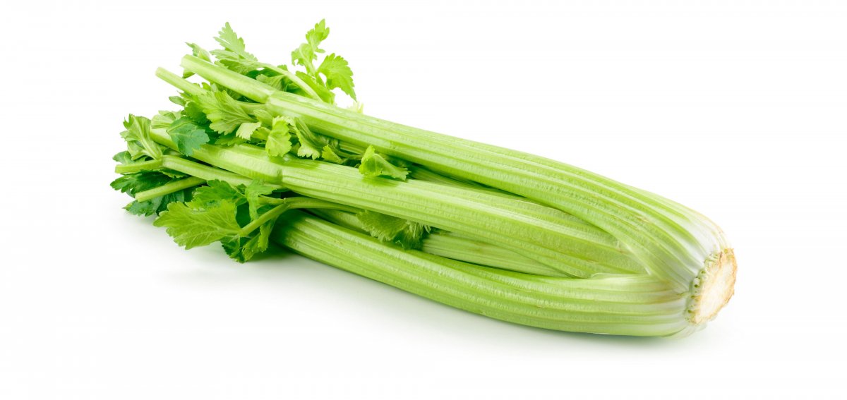 Celery.jpeg