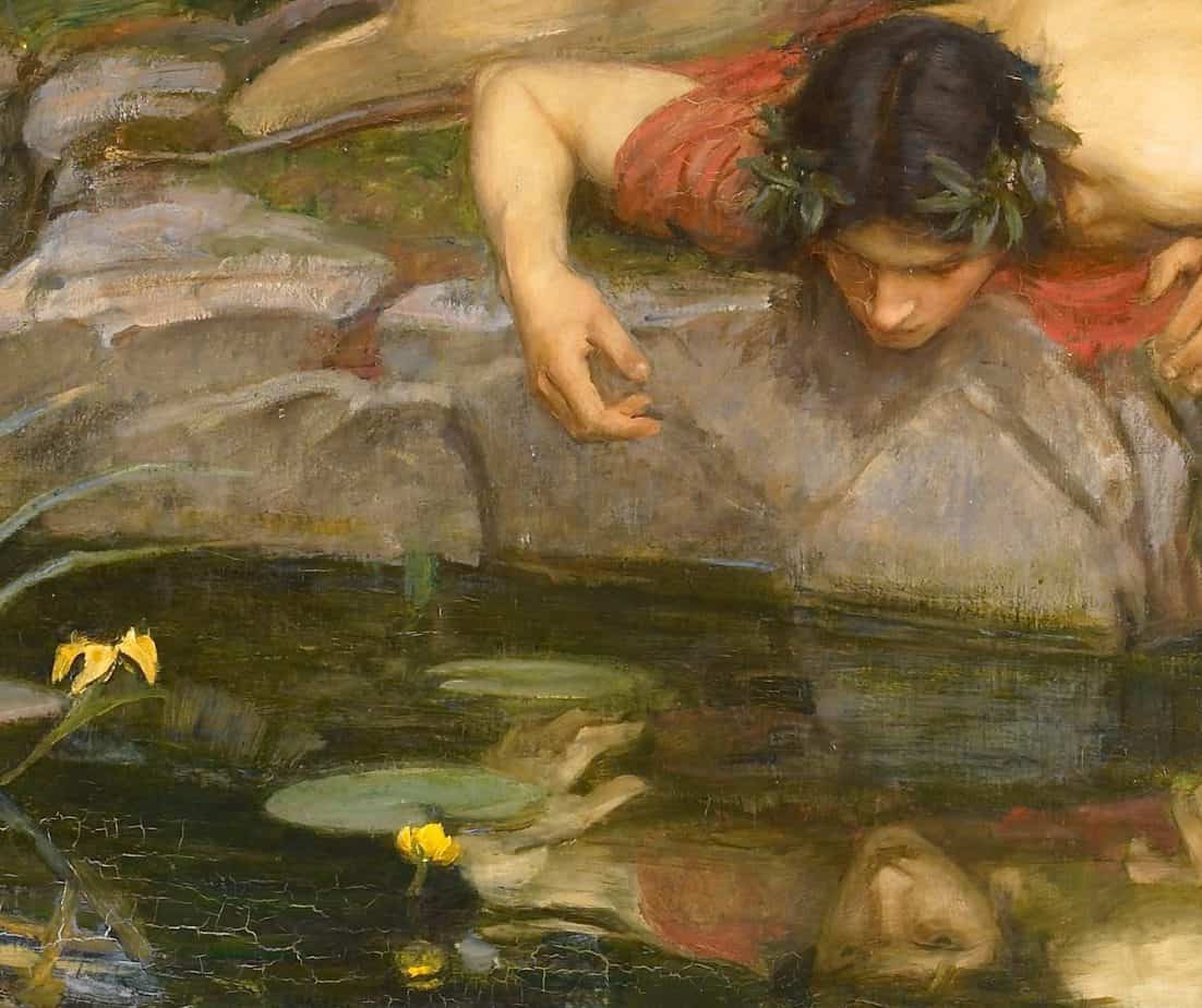 Narcissus.jpg